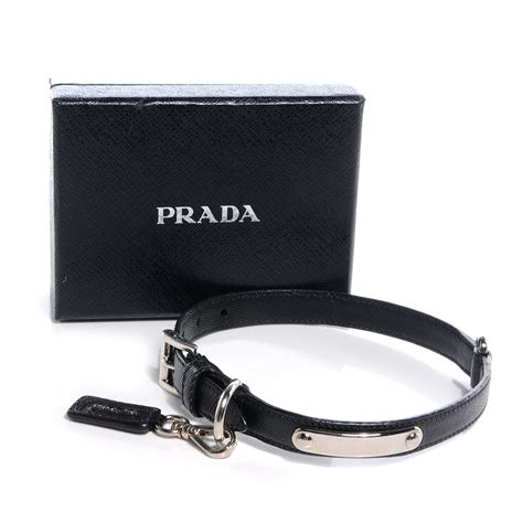 prada pet collar